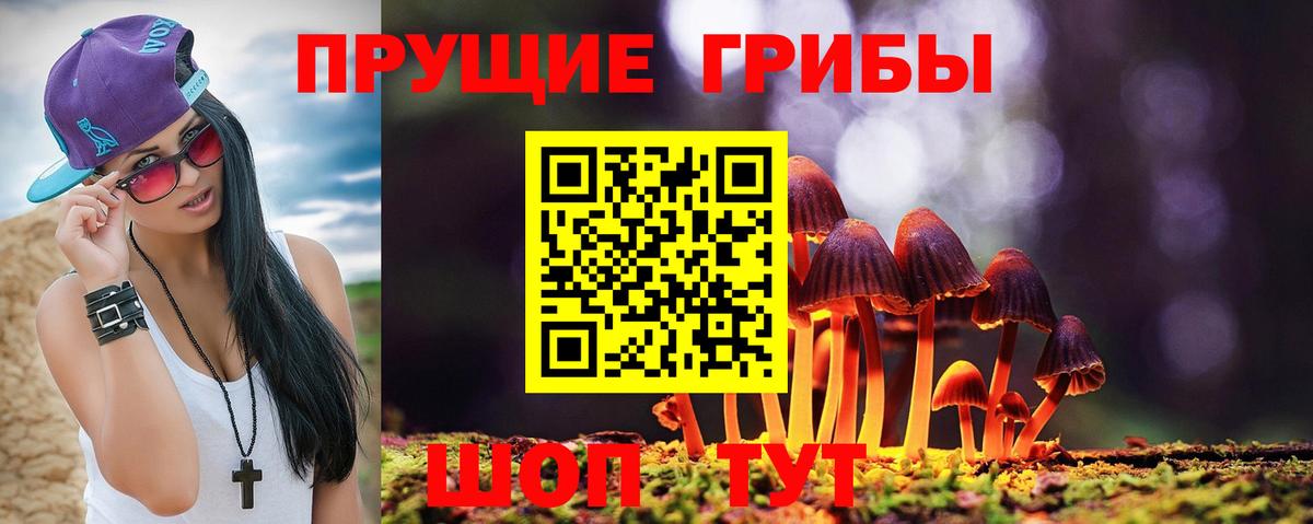 как найти   Псилоцибиновые грибы Magic Shrooms  Рубцовск  Вход с VPN  Псилоцибиновые грибы прущие грибы 
