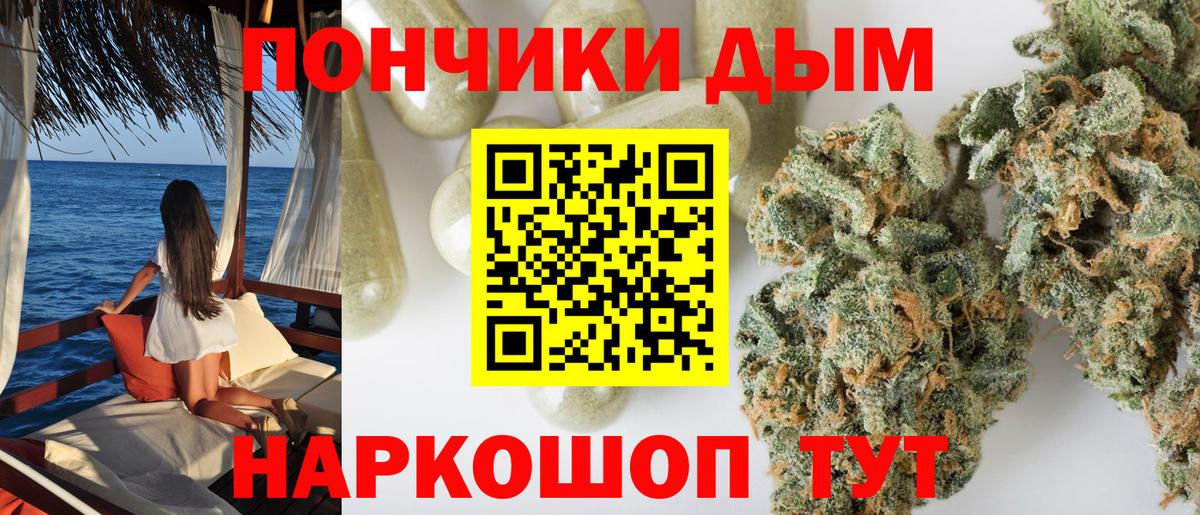 Рубцовск  Бошки Шишки SATIVA & INDICA  Канабис семена  Вход с VPN  Шишки марихуана план 